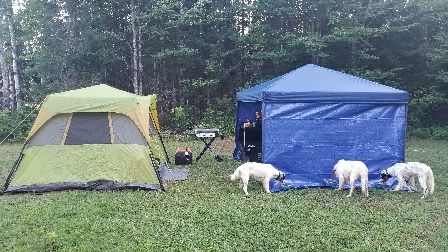 North woods training camp